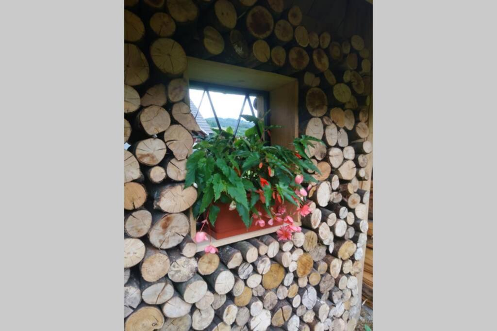 Hut At The Forest Male Brusnice Екстериор снимка