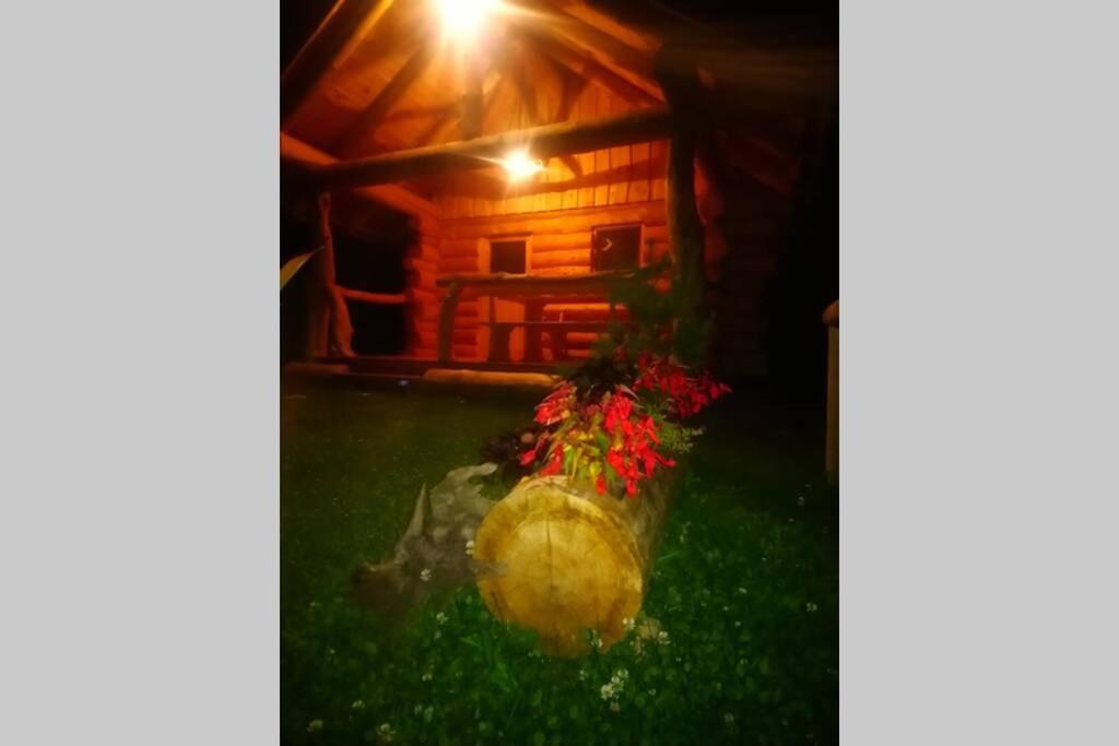Hut At The Forest Male Brusnice Екстериор снимка