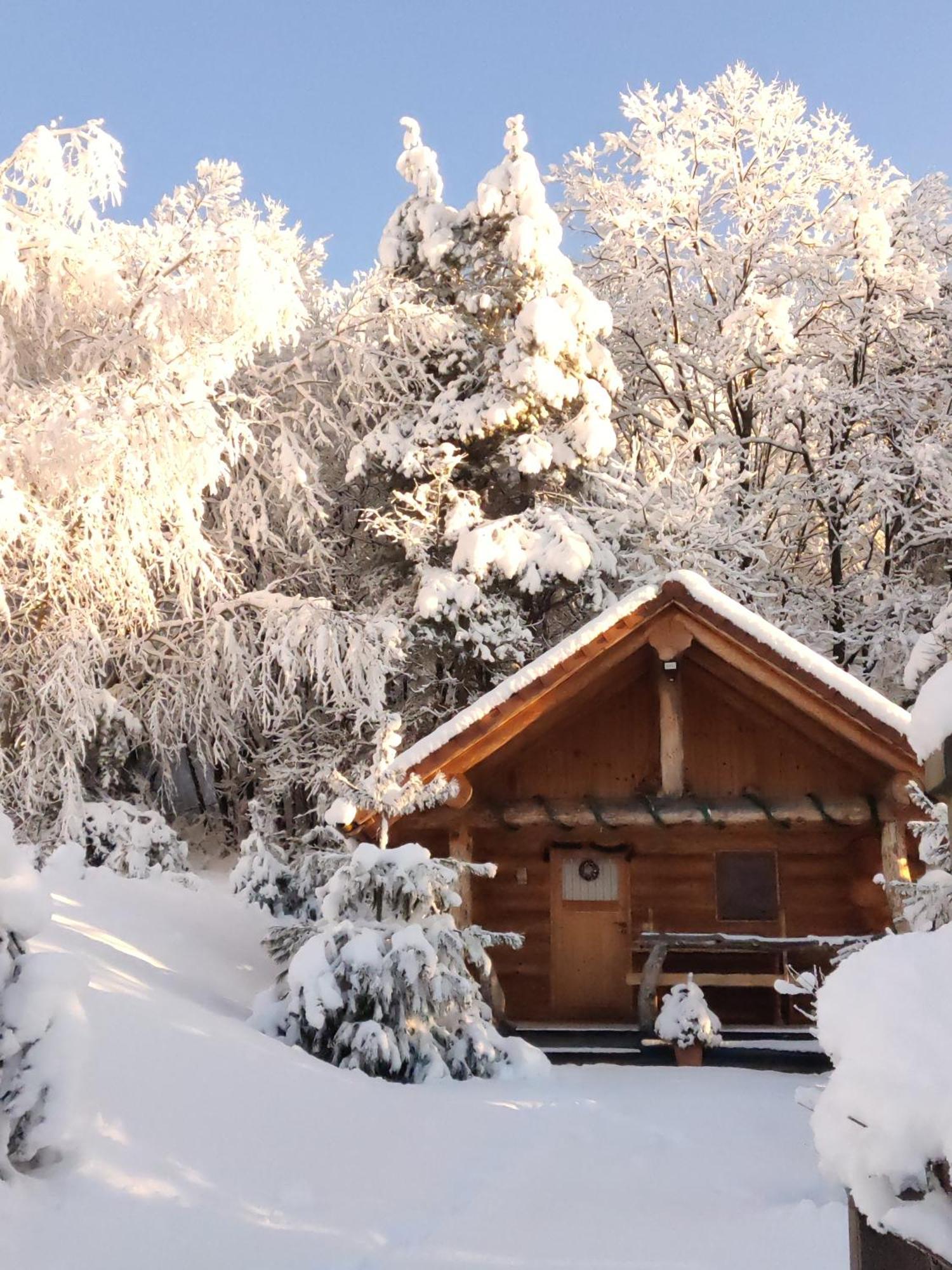 Hut At The Forest Male Brusnice Екстериор снимка
