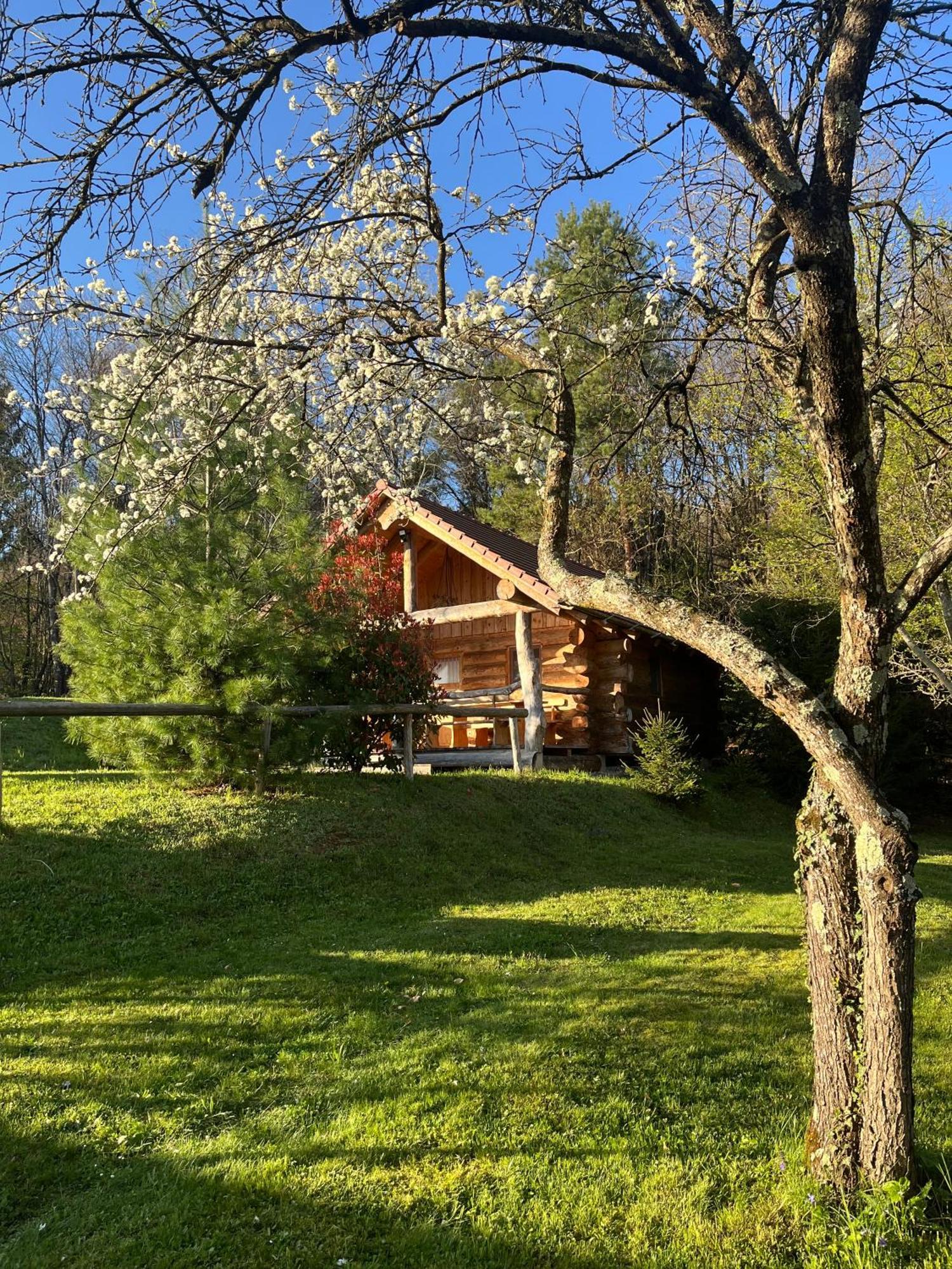 Hut At The Forest Male Brusnice Екстериор снимка
